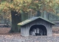 Hannover, Tiergarten